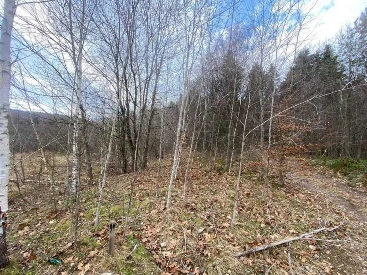 Фото Продаю земельну ділянку, Степана Бандери вул.  Борислав, ціна: 12800 USD, код 9388