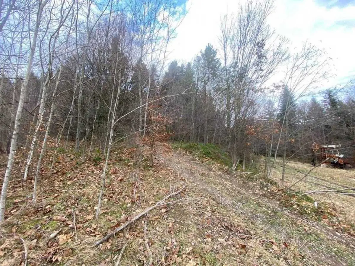 Фото Продаю земельну ділянку, Степана Бандери вул.  Борислав, ціна: 12800 USD, код 9388