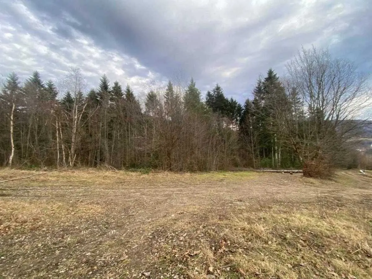 Фото Продаю земельну ділянку, Степана Бандери вул.  Борислав, ціна: 12800 USD, код 9388