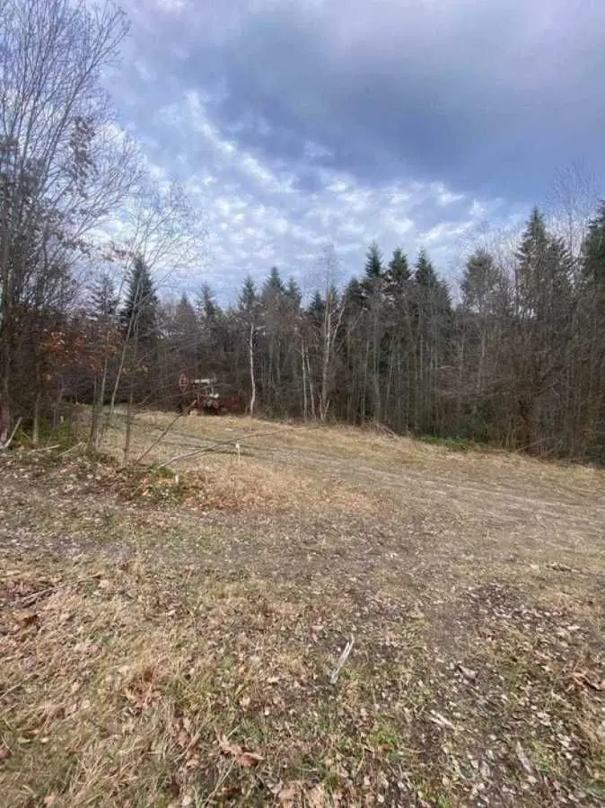 Фото Продаю земельну ділянку, Степана Бандери вул.  Борислав, ціна: 12800 USD, код 9388