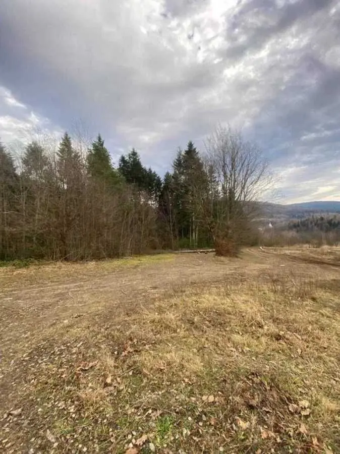 Фото Продаю земельну ділянку, Степана Бандери вул.  Борислав, ціна: 12800 USD, код 9388