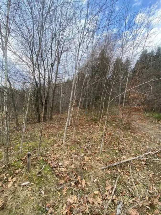 Фото Продаю земельну ділянку, Степана Бандери вул.  Борислав, ціна: 12800 USD, код 9388