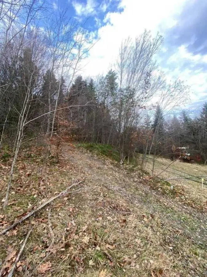 Фото Продаю земельну ділянку, Степана Бандери вул.  Борислав, ціна: 12800 USD, код 9388