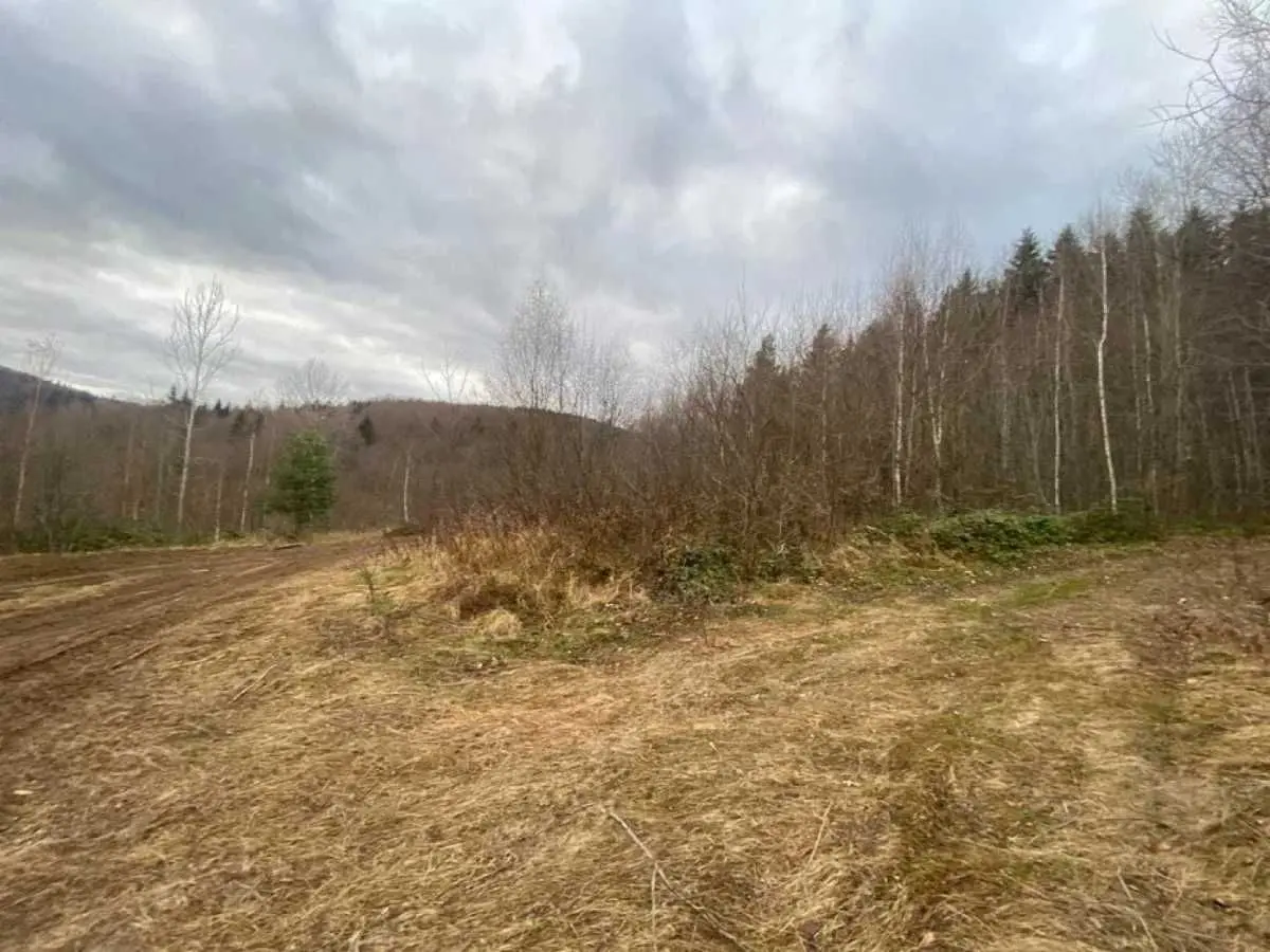 Фото Продаю земельну ділянку, Степана Бандери вул.  Борислав, ціна: 12800 USD, код 9388