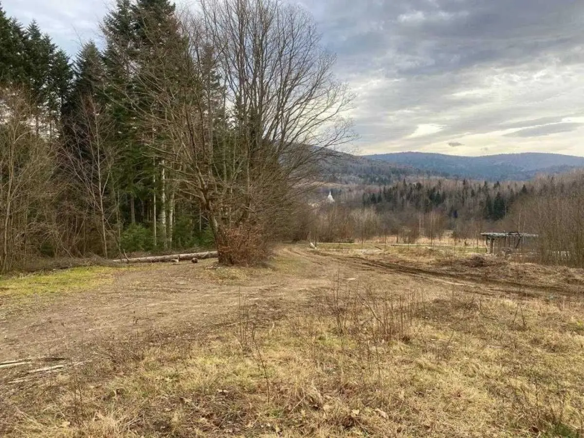 Фото Продаю земельну ділянку, Степана Бандери вул.  Борислав, ціна: 12800 USD, код 9388