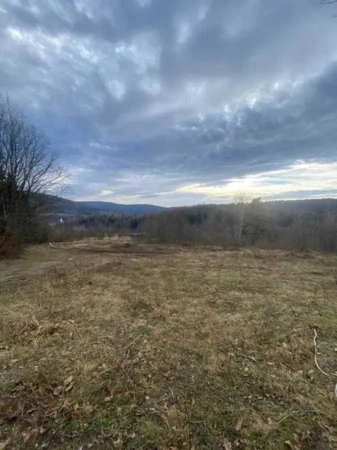 Фото Продаю земельну ділянку, Степана Бандери вул.  Борислав, ціна: 12800 USD, код 9388