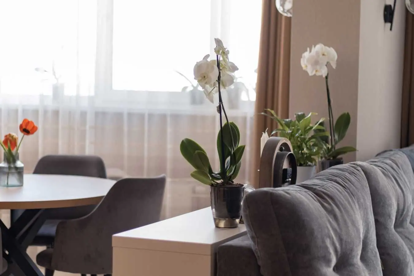 Фото Продаю 3-комнатную квартиру, 86 кв. м, Киевская ул.  Бровары, цена: 165000 USD, код 9403