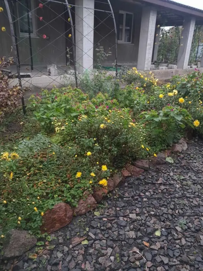 Фото Зняти 1 кімнатну квартиру, Крута вул.  Київ в довгострокову оренду, ціна: 8000 UAH, код 9433