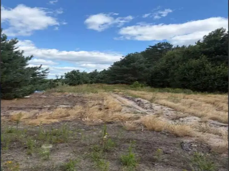 Фото Selling a land plot, Abramivka, price: 137800 UAH, code 9458