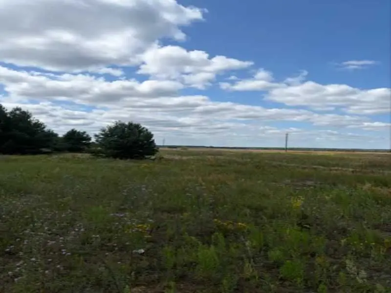 Фото Selling a land plot, Abramivka, price: 137800 UAH, code 9458