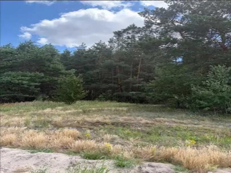 Фото Selling a land plot, Abramivka, price: 137800 UAH, code 9458