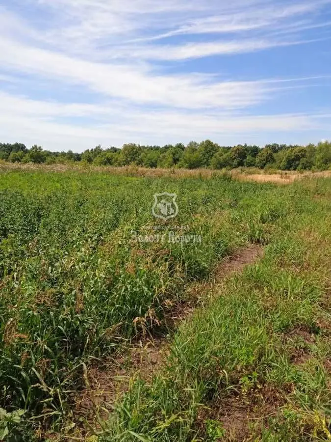 Фото Selling a land plot, Pukhivka, price: 10000 USD, code 9624