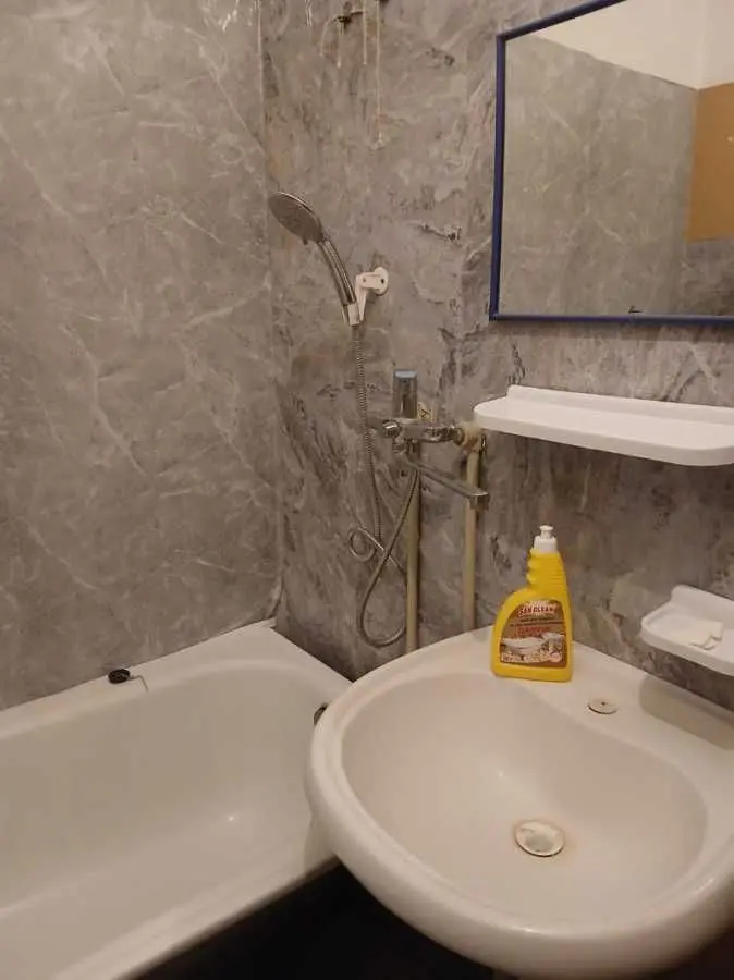 Фото Rent a 1-room apartment, Almatynska Street (Alma-Atynska Street)  Kyiv for long-term rent, price: 11000 UAH, code 9729
