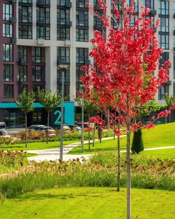 Фото Зняти 1 кімнатну квартиру, Віктора Некрасова вул. (Північно-Сирецька)  Київ в довгострокову оренду, ціна: 37000 UAH, код 9766