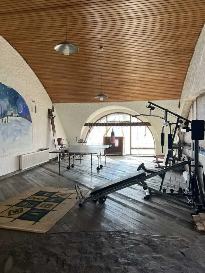 Фото Продаю будинок, 529 кв. м, Чагор, ціна: 430000 USD, код 9796