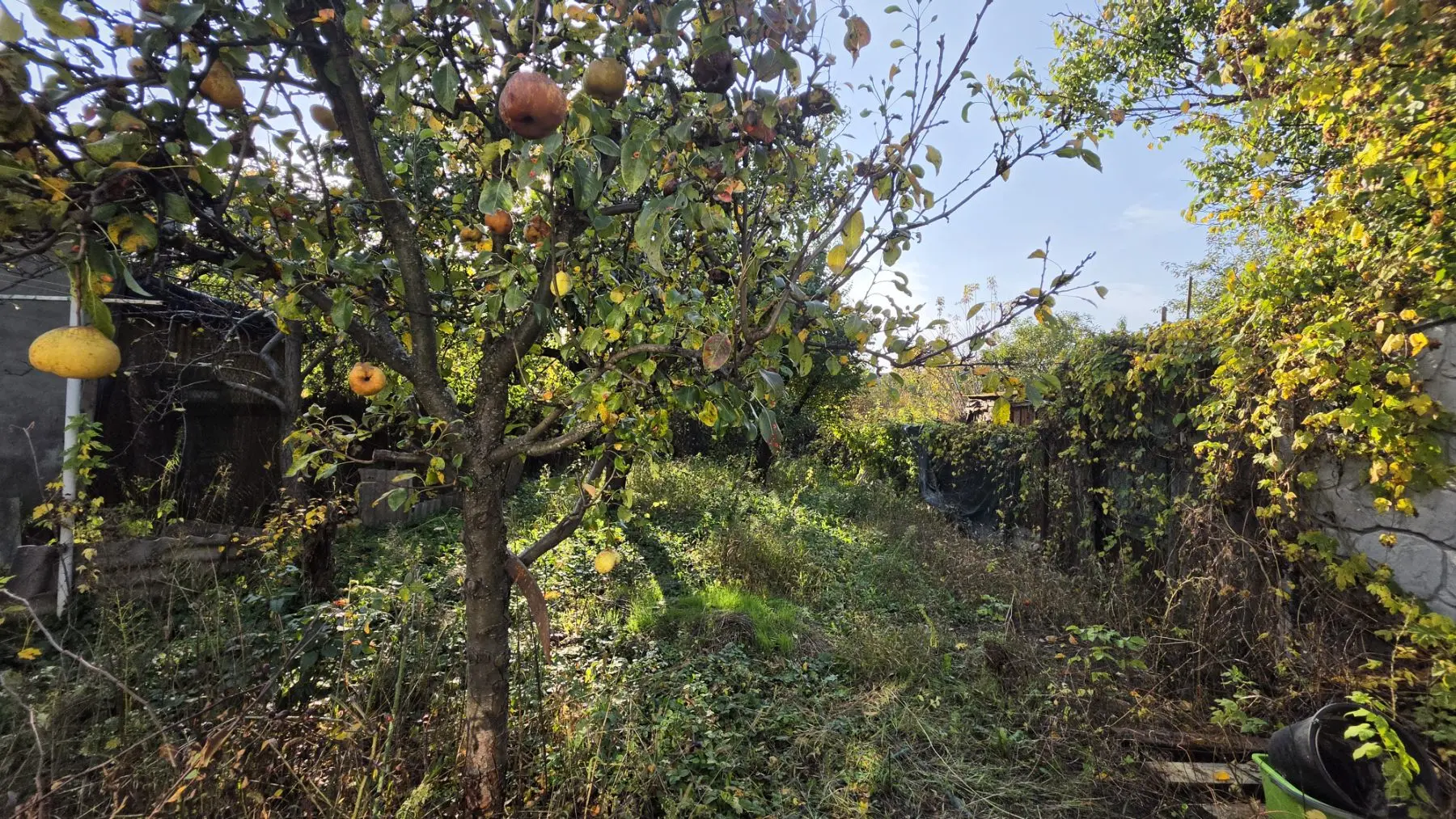 Фото Продаю будинок, 60 кв. м, Нечаївський пров.  Харків, ціна: 40000 $, код 9874