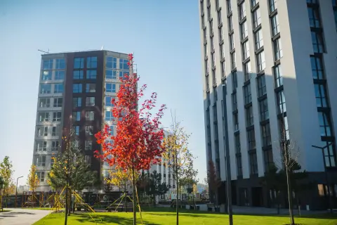 Фото ЖК Paradise Avenue