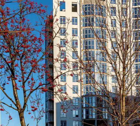 Фото ЖК Central Bucha