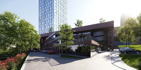 Фото БФК MAYAK