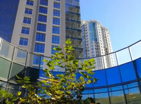 City One Development: підсумки діяльності та аналіз ринку первинної нерухомості за 2024 рік