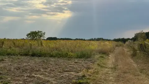 Чи може сусід забрати вашу ділянку, якщо вона не приватизована