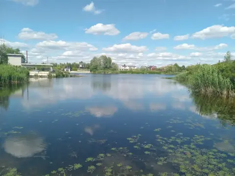 продажа дома Киев Дарницкий р-н Осокорки 111-я Садовая ул.