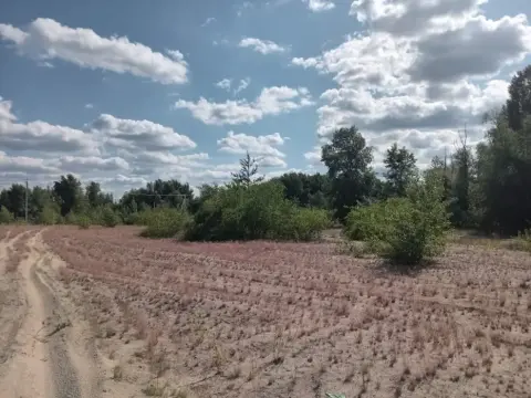 продаж ділянки Київ Дарницький р-н Осокорки Центральна вул.