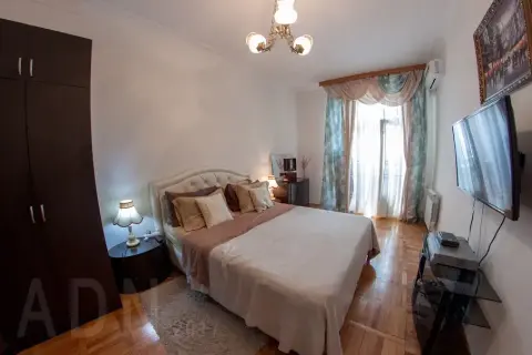 rent apartment Kyiv Holosiivskyi Nova-Zabudova Antonovycha Street 123