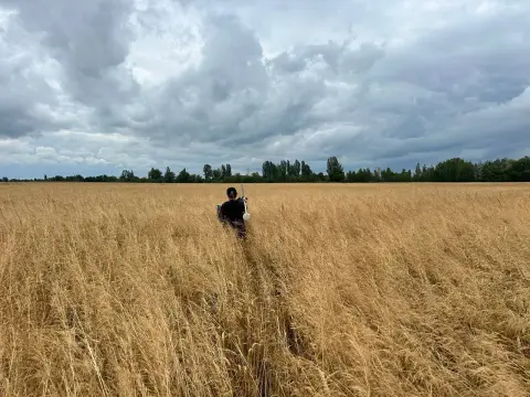 Продається земельна ділянка — фото 4