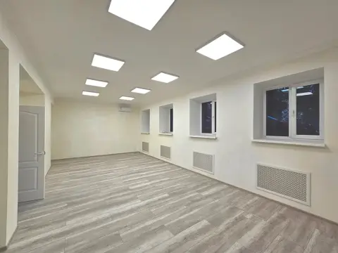 rent retail Kyiv Pecherskyi Lypky Mykhaila Hrushevskoho Street 28/2