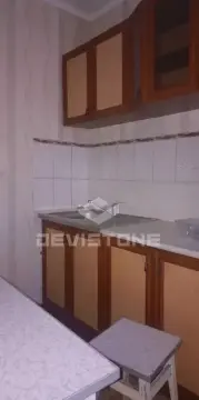 rent apartment Kyiv Podilskyi Vynohradar Svobody Avenue 5