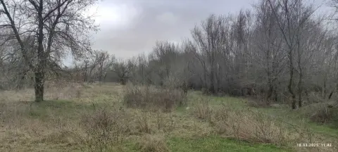 sale land Zaporizhzhia Dniprovskyi  Arsena Kovalenka street