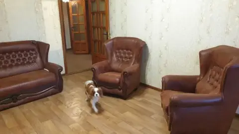 оренда квартири Одеса Хаджибейський р-н  Бугаївська вул. 46/2