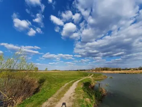 продаж ділянки Трушки