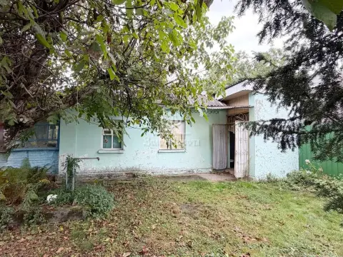 продаж будинку Зазим’я   Деснянська вул.