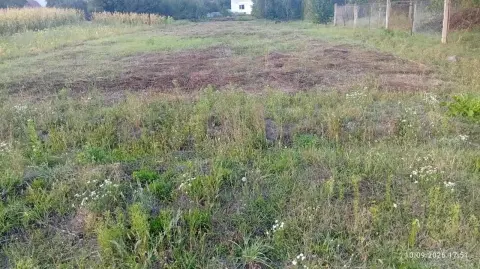 Продаж земельної ділянки Миколи Леонтовича пров. (Толстого)  Буча — фото 8