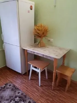 rent apartment Kyiv Pecherskyi Nyzhniy-Pechersk Mykhaila Boichuka Street