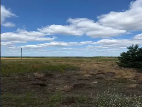 sale land Abramivka