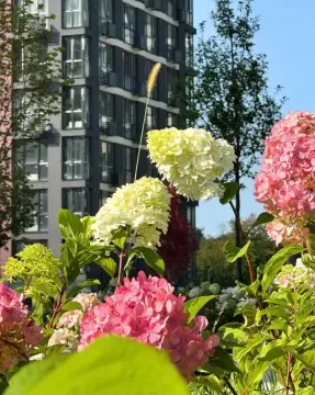 продажа квартиры Киев Подольский р-н Сырец Віктора Некрасова ул.