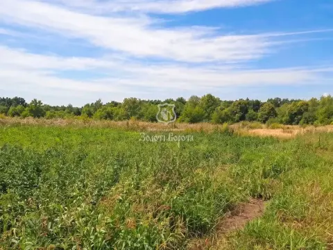 sale land Pukhivka
